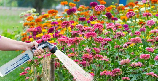 Is tap water good for your organic garden?